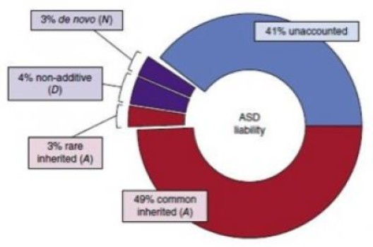 科学家研究发现自闭症源于常见基因